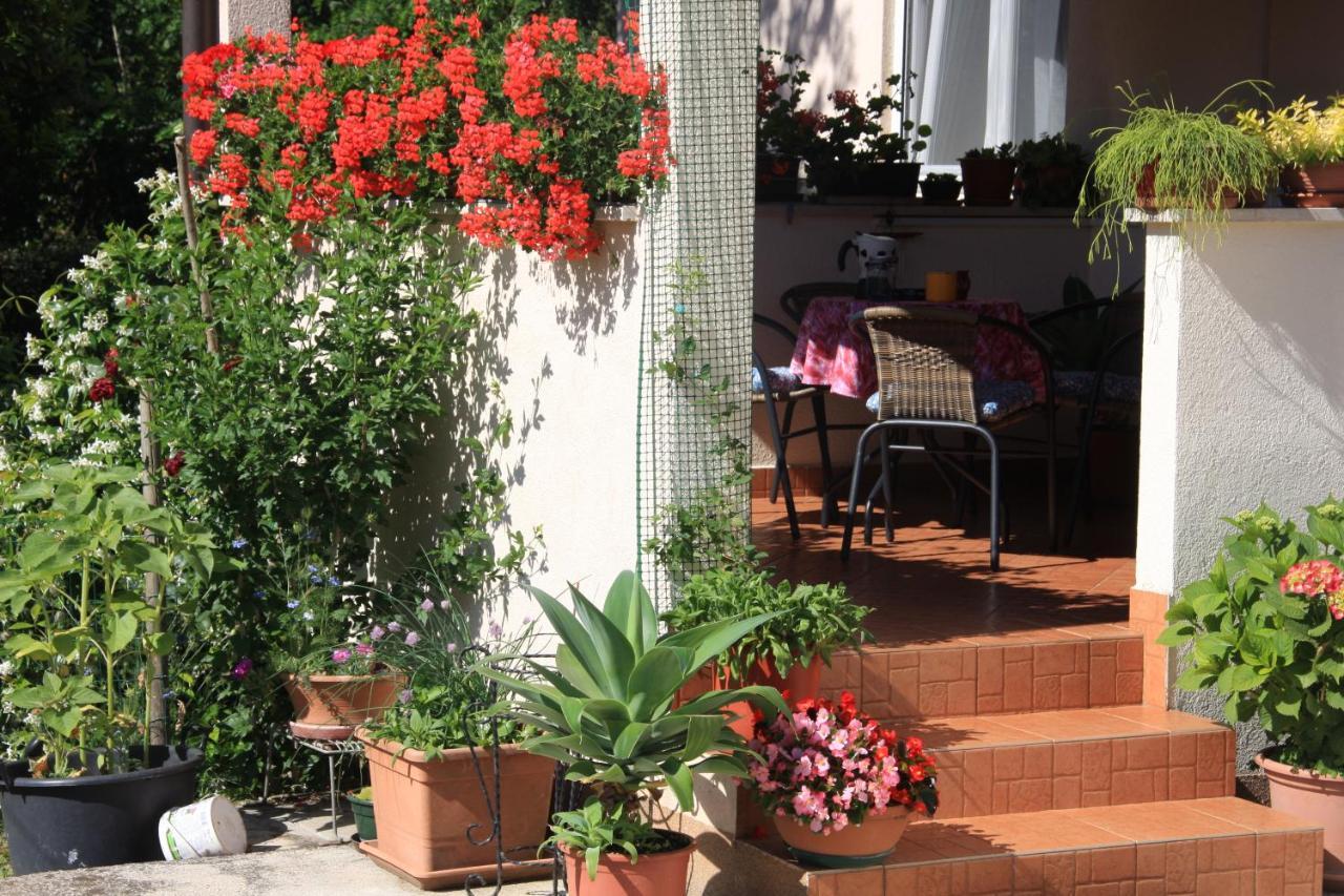 Apartman Rino Bašanija Εξωτερικό φωτογραφία