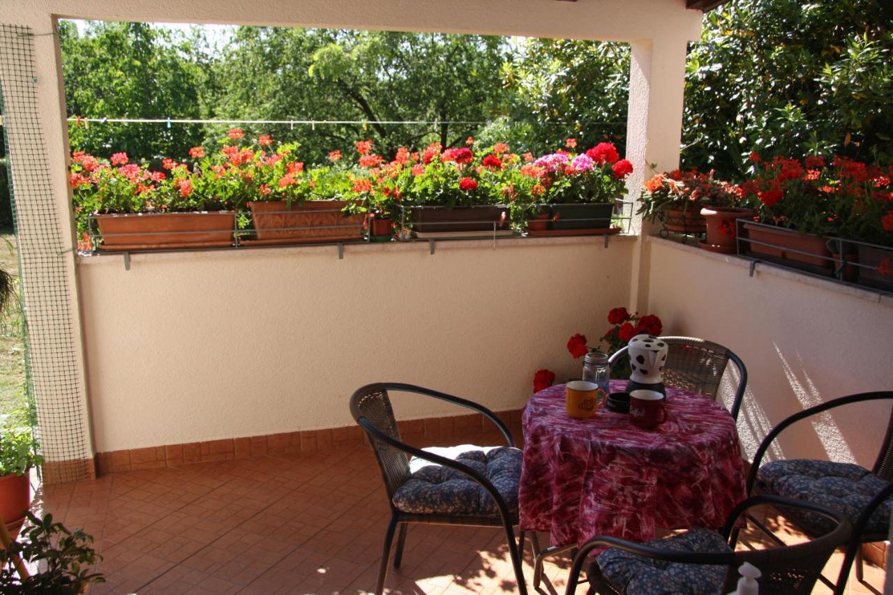 Apartman Rino Bašanija Εξωτερικό φωτογραφία