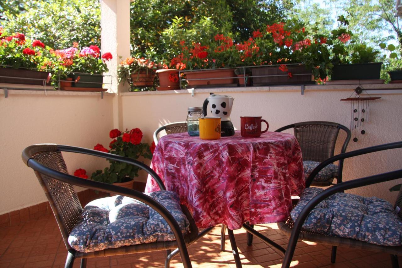 Apartman Rino Bašanija Εξωτερικό φωτογραφία