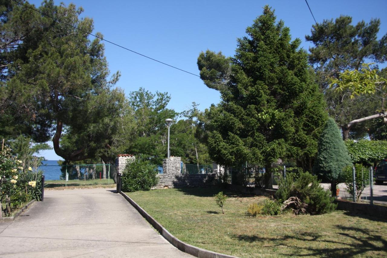 Apartman Rino Bašanija Εξωτερικό φωτογραφία